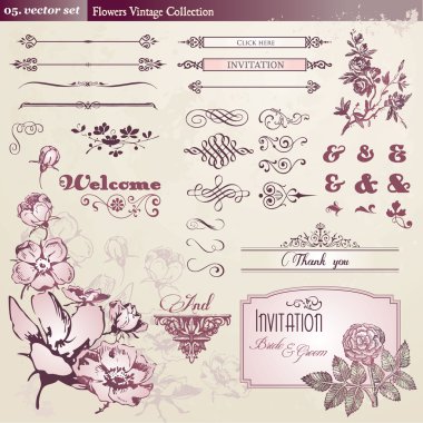 Flowers and vintage elements collection clipart