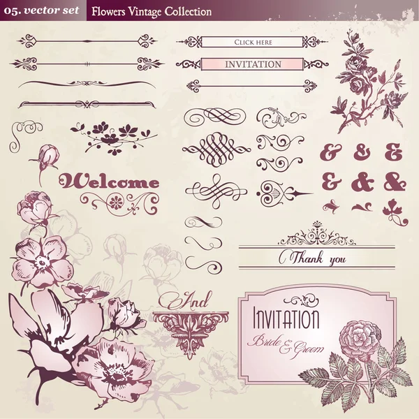 Colección de flores y elementos vintage — Archivo Imágenes Vectoriales