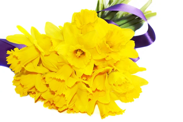 Daffodil dourado — Fotografia de Stock