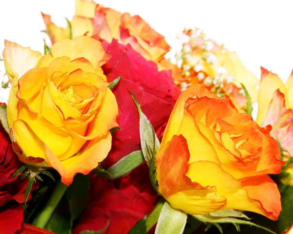 Rosas rojas y amarillas — Foto de Stock