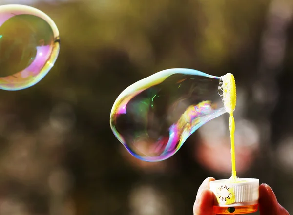 Мильна бульбашка — стокове фото