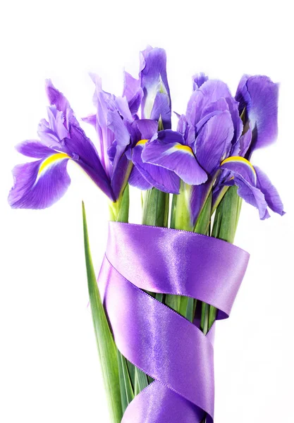 Iris violet — Photo
