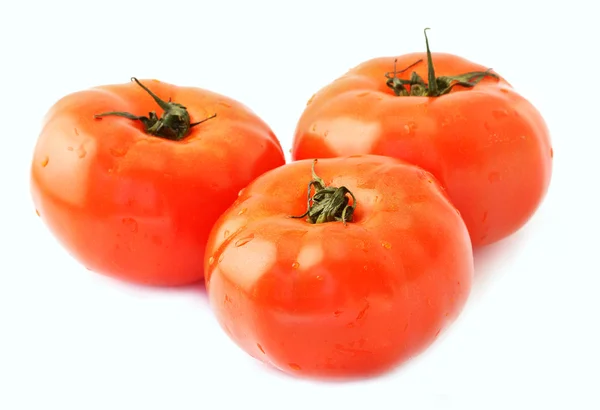 Verse tomaat — Stockfoto