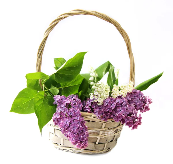 Bouquet lilla — Foto Stock