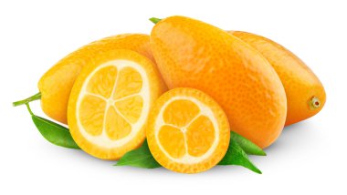 Kumquat clipart