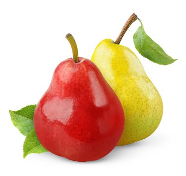 Two pears clipart