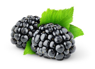 Blackberry