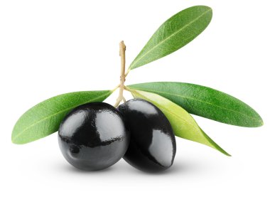 Black olives clipart