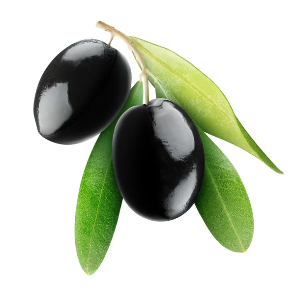 Svarta oliver — Stockfoto