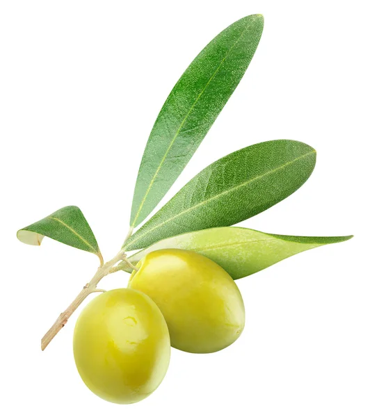 Grüne Oliven — Stockfoto