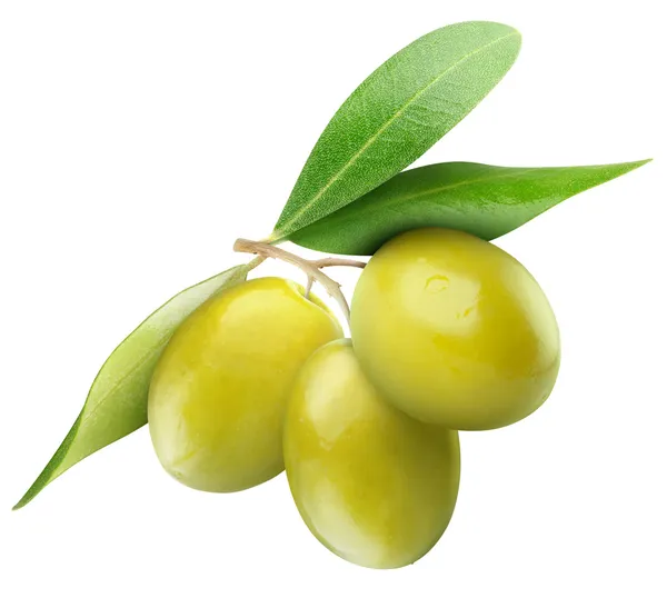 Grüne Oliven — Stockfoto