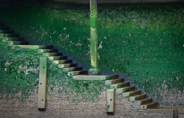 Old stairs covered with green vegetation clipart