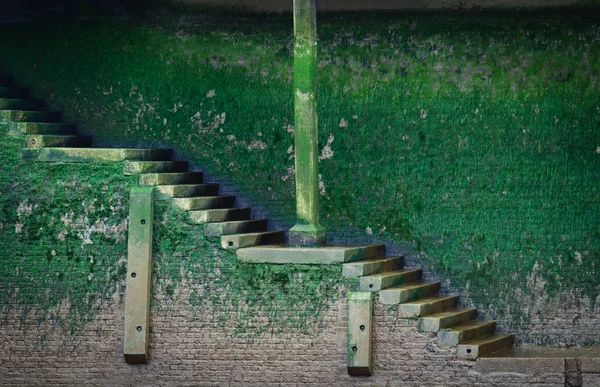 stock image Old stairs covered with green vegetation