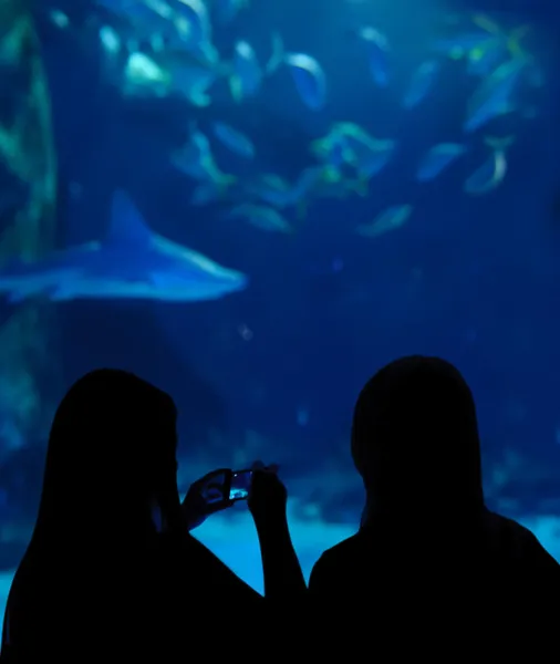 Дві дівчини відвідують акваріум — стокове фото