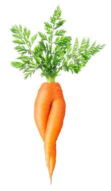 Sexy carrot clipart