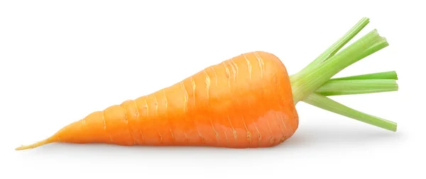 Καρότο — Φωτογραφία Αρχείου
