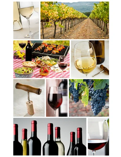 Industria vitivinícola collage — Foto de Stock