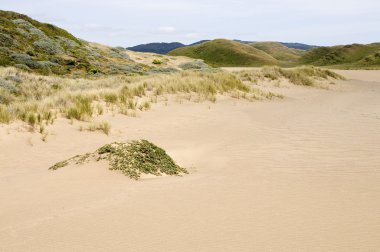 Sand dune clipart