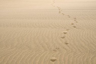 Sand footprints clipart