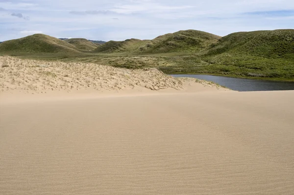 Paysage des dunes — Photo