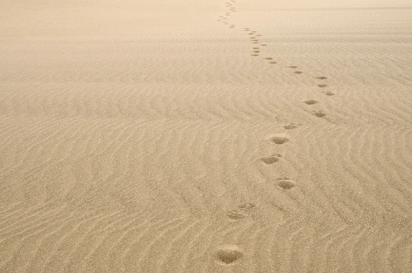 Sand footprints — Stock Photo, Image