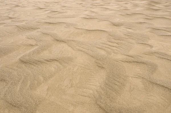 Wydma piaskowa — Zdjęcie stockowe