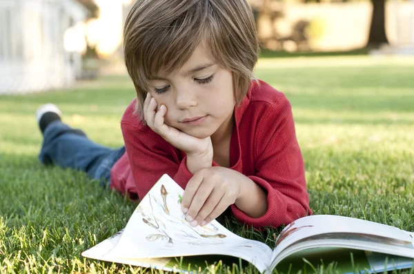 Junge liest — Stockfoto