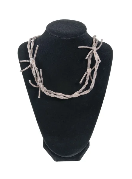 脖子形式与铁丝网项链 — 图库照片