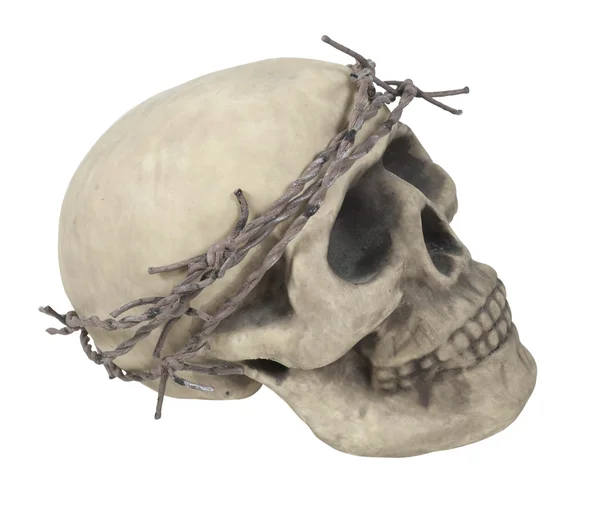 Crânio vestindo arame farpado coroa — Fotografia de Stock