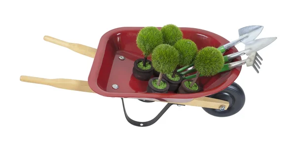 Інвалідний візок з рослинами та інструментами — стокове фото