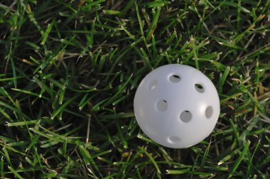 White Plastic Wiffle Golf Ball clipart