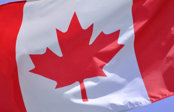加拿大国旗 — 图库照片