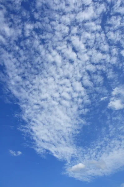 Nuvens de altocumulus — Fotografia de Stock