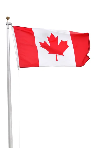 Canadian Flag — Stock Photo, Image