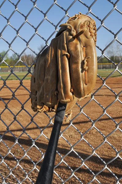 Basebollträ och handske — Stockfoto