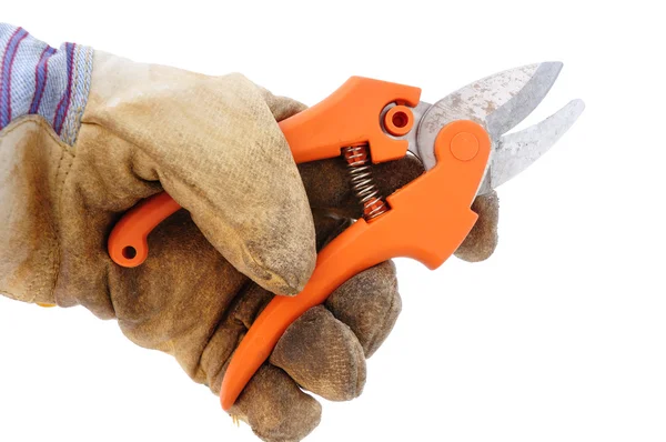 Sosteniendo tijeras de podar usando guantes de trabajo de cuero — Foto de Stock