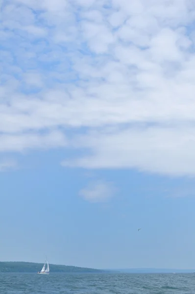 Yelkenli yelken — Stok fotoğraf