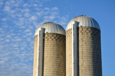 Two Concrete Stave Silos clipart