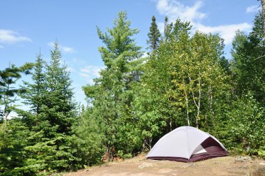 Tent at Campsite in the Wilderness clipart