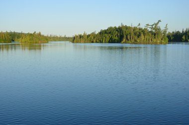 vahşi doğa göl