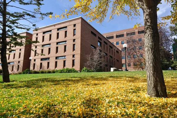 Edifício de tijolos no campus universitário — Fotografia de Stock