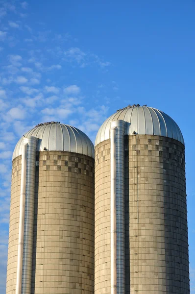 Två konkreta stav silos — Stockfoto