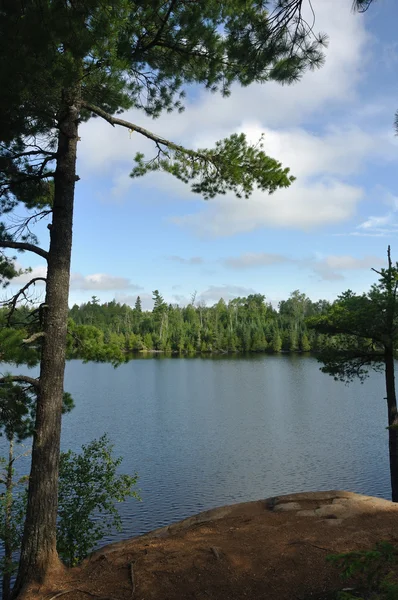 松树和偏远的荒野湖 — 图库照片