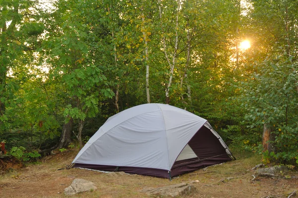 Namiot na campingu w Puszczy — Zdjęcie stockowe