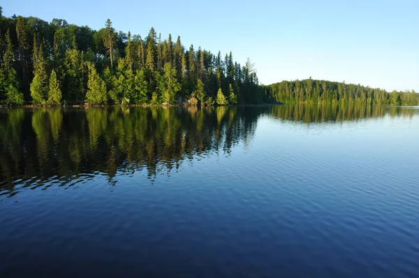 Reflexões sobre um lago selvagem — Fotografia de Stock