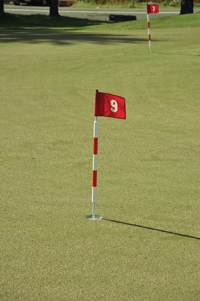Flaga i sieci flagstick na pole golfowe practive zielony — Zdjęcie stockowe