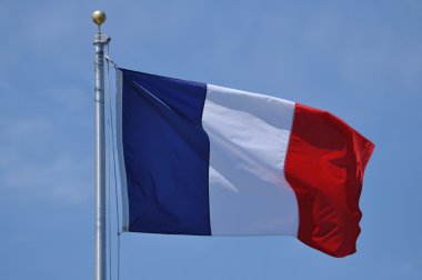 French Flag clipart