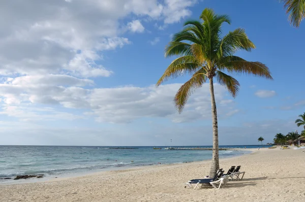 Sillas de playa bajo la palmera en la playa tropical —  Fotos de Stock