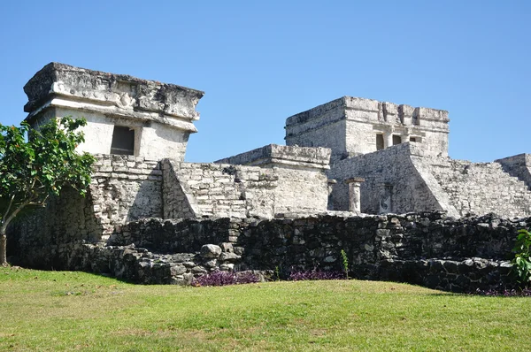 Ruinas Mayas en Tulum en México — Foto de Stock