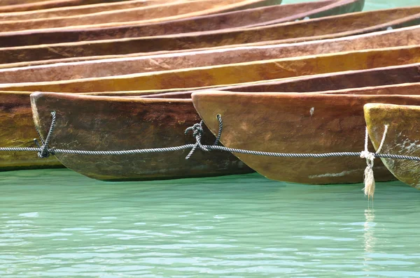 Canoas amarradas juntas — Fotografia de Stock